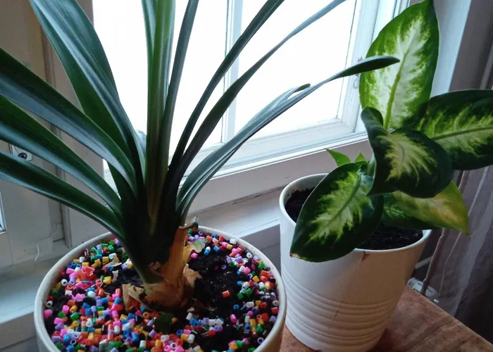 Warkhaus Korpela * Varkaus